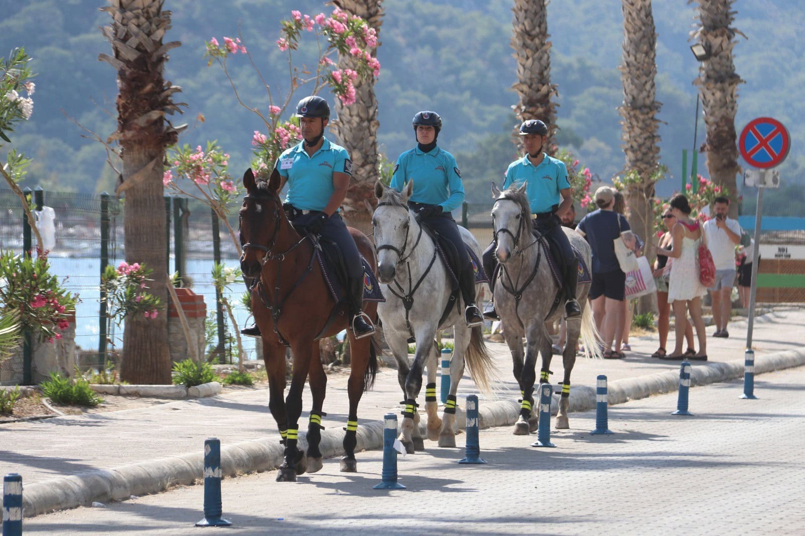Fethiye Ölüdeniz’de atlı jandarma göreve başladı