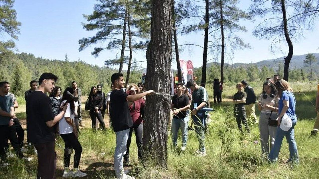 Köyceğiz’de Yüksekokul öğrencileri sahada uygulama yaptı