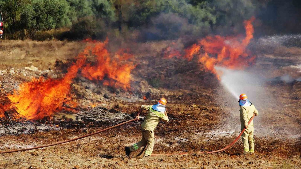 Strict Warning Against Forest Fires: “No Compromise”