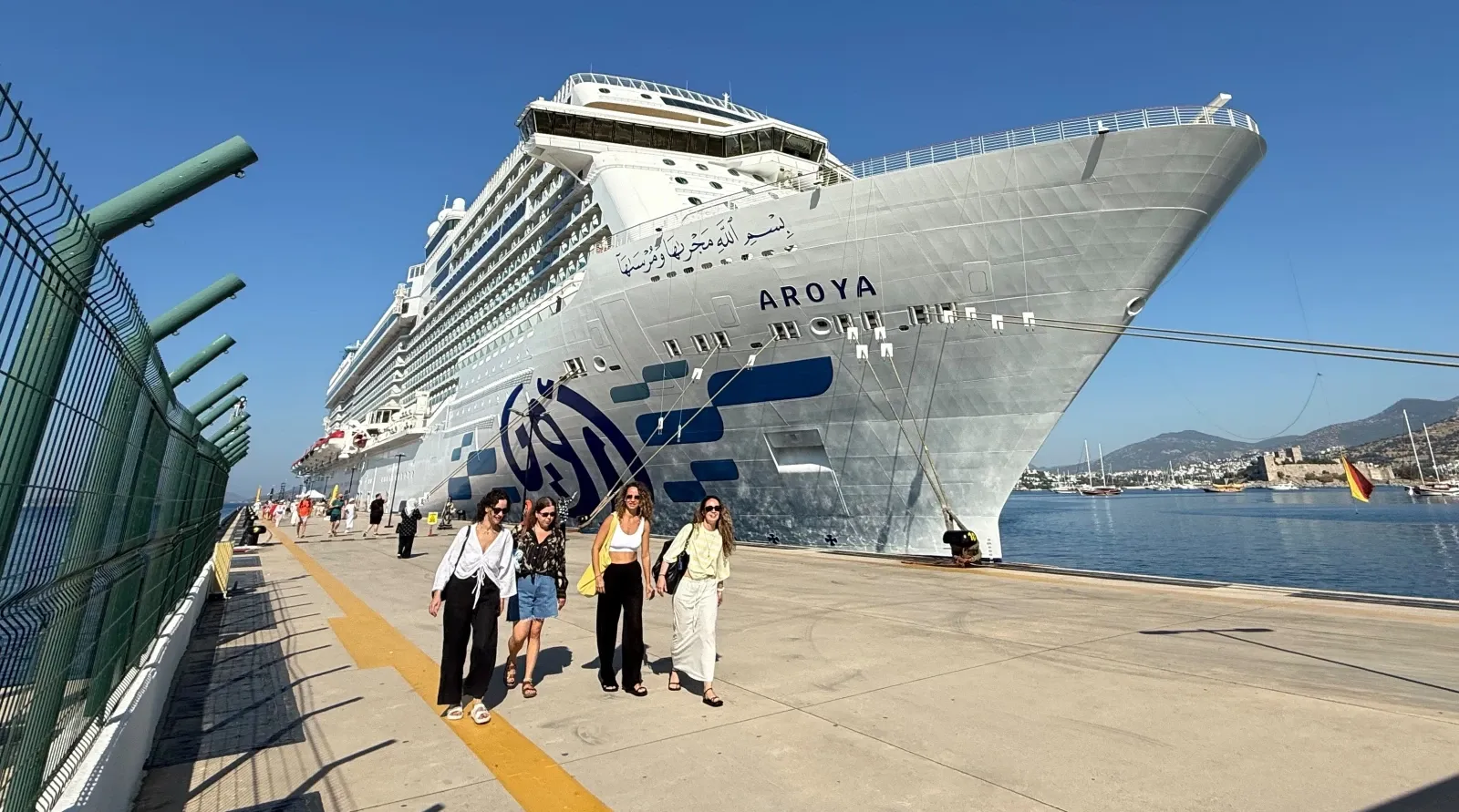 "Aroya," Which Inhabits Aegean and Mediterranean Ports, in Bodrum