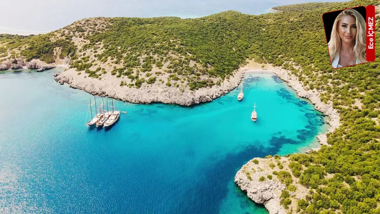 New allocation decision from the Ministry of Culture and Tourism: The list also includes forest lands