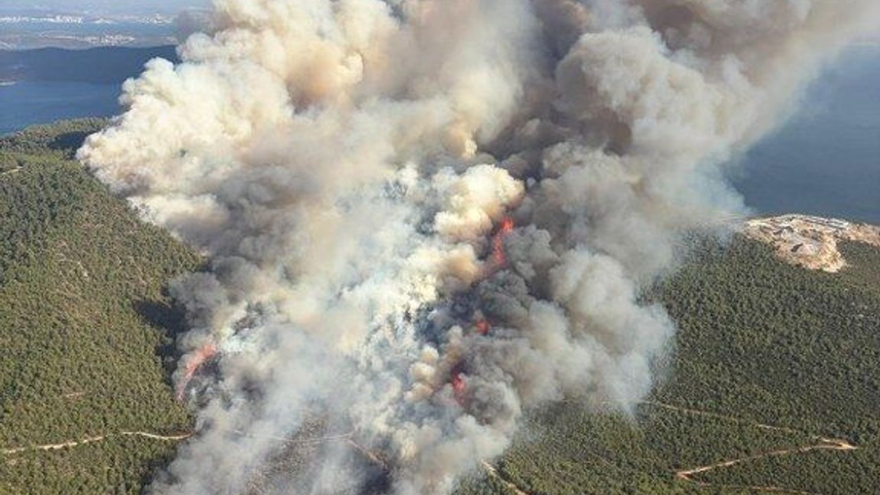 Consecutive fires in Muğla: Teams are fighting in three locations