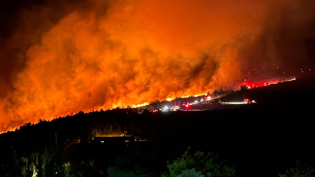 Fight Against Forest Fire in Milas Continues: 1120 People Evacuated