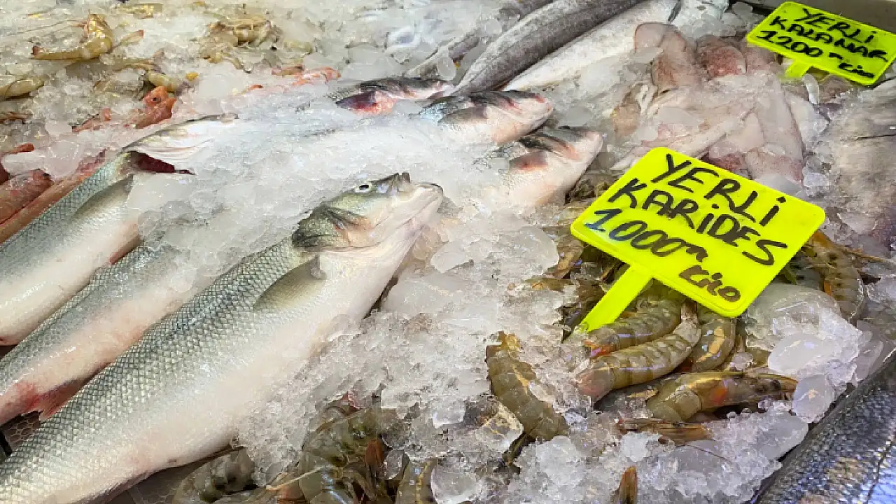 Statement on Fish Prices from Fethiye Fish Market Tradesmen