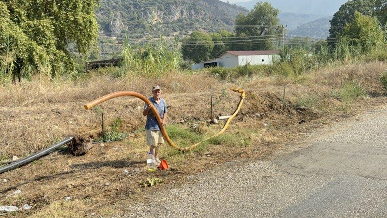 Zeytinlikleri kül oldu, gözyaşını içine akıtıp yangına su taşıdı