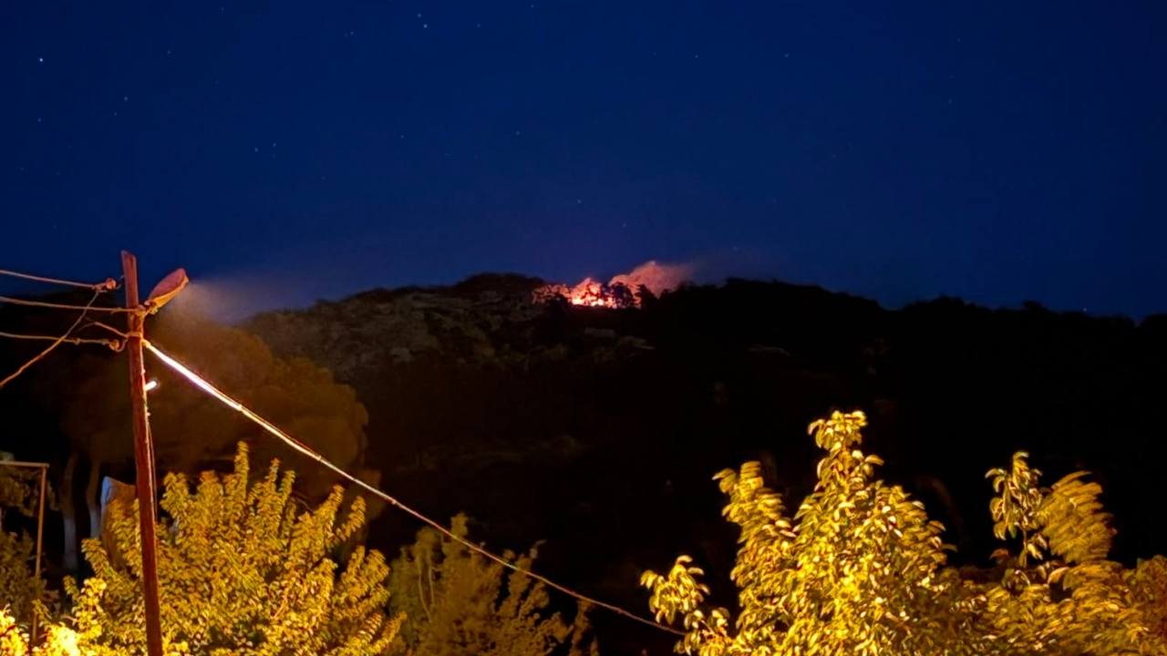 Forest fire broke out in Yatağan