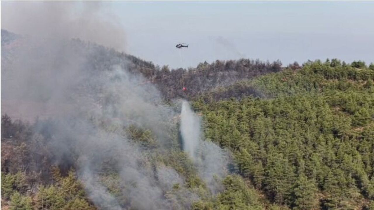 Muğla’daki İki Yangında Kritik Eşik Aşıldı