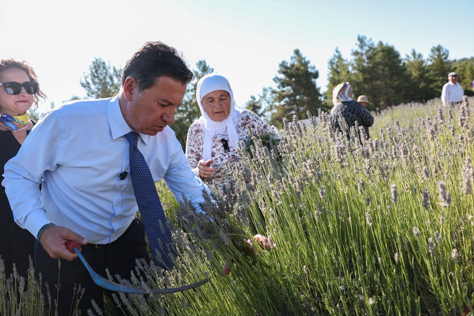 Purple Harvest in Muğla Started with a Festival