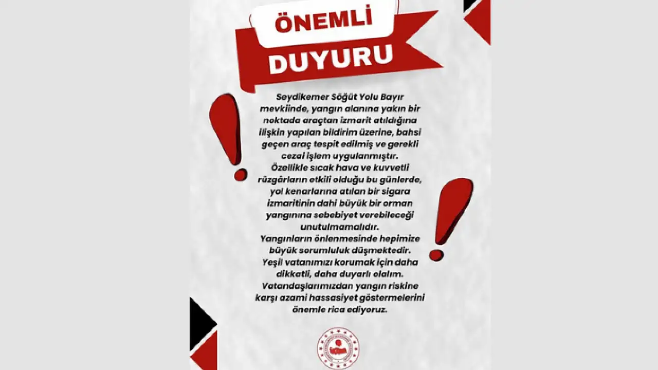 Penalty for driver throwing cigarette butt from vehicle in Seydikemer