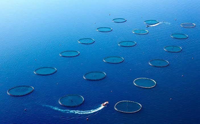 Muğla Doubled Its Imports in Exports