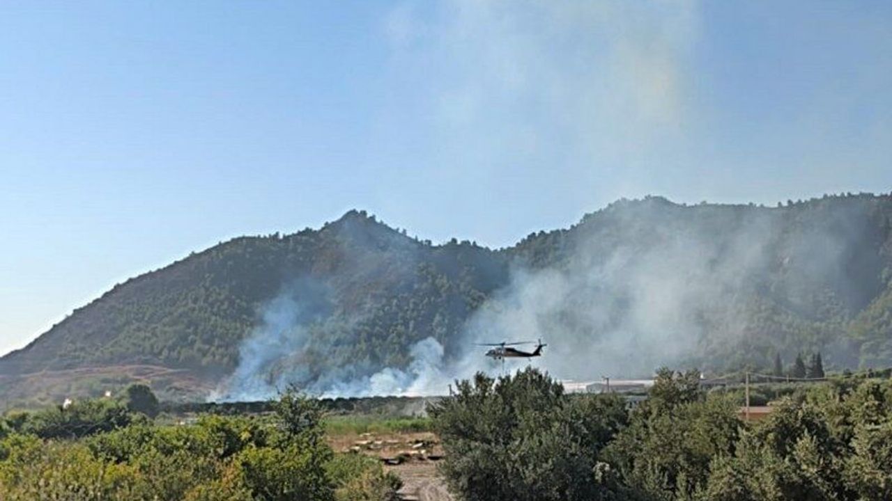 Dalaman’da tarım alanındaki yangın kısa sürede söndürüldü