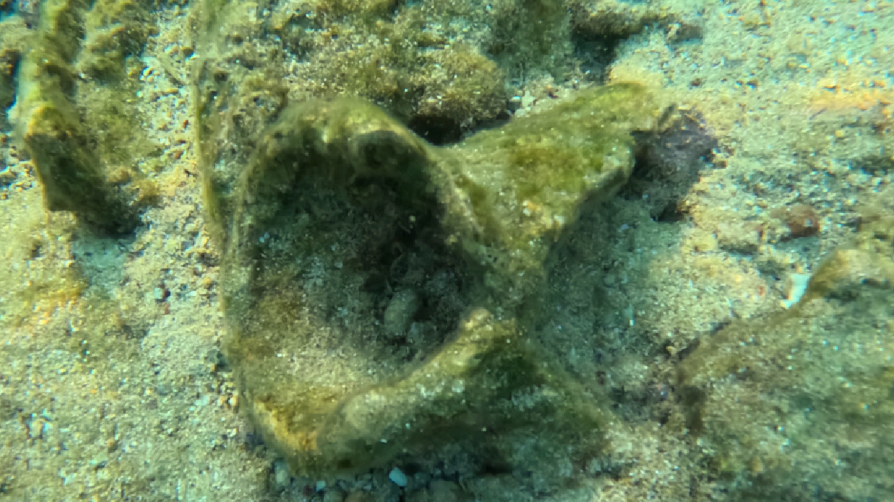 Little child noticed while diving, museum intervened