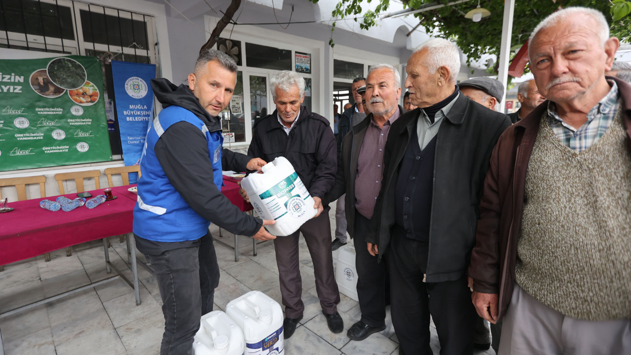 Muğla Büyükşehir Belediyesi'nden çam fıstığı üreticilerine ilaç desteği