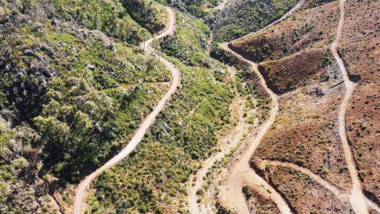 Muğla'da ormanlık alanlara giriş yasaklandı: Turistik faaliyetlere kritik kısıtlama