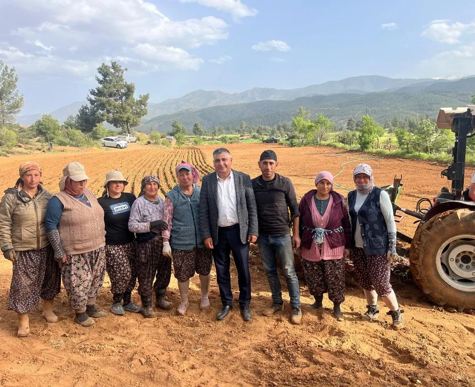 Muğla İl Başkanı Bozkurt, üreticilerle birlikte tarlada