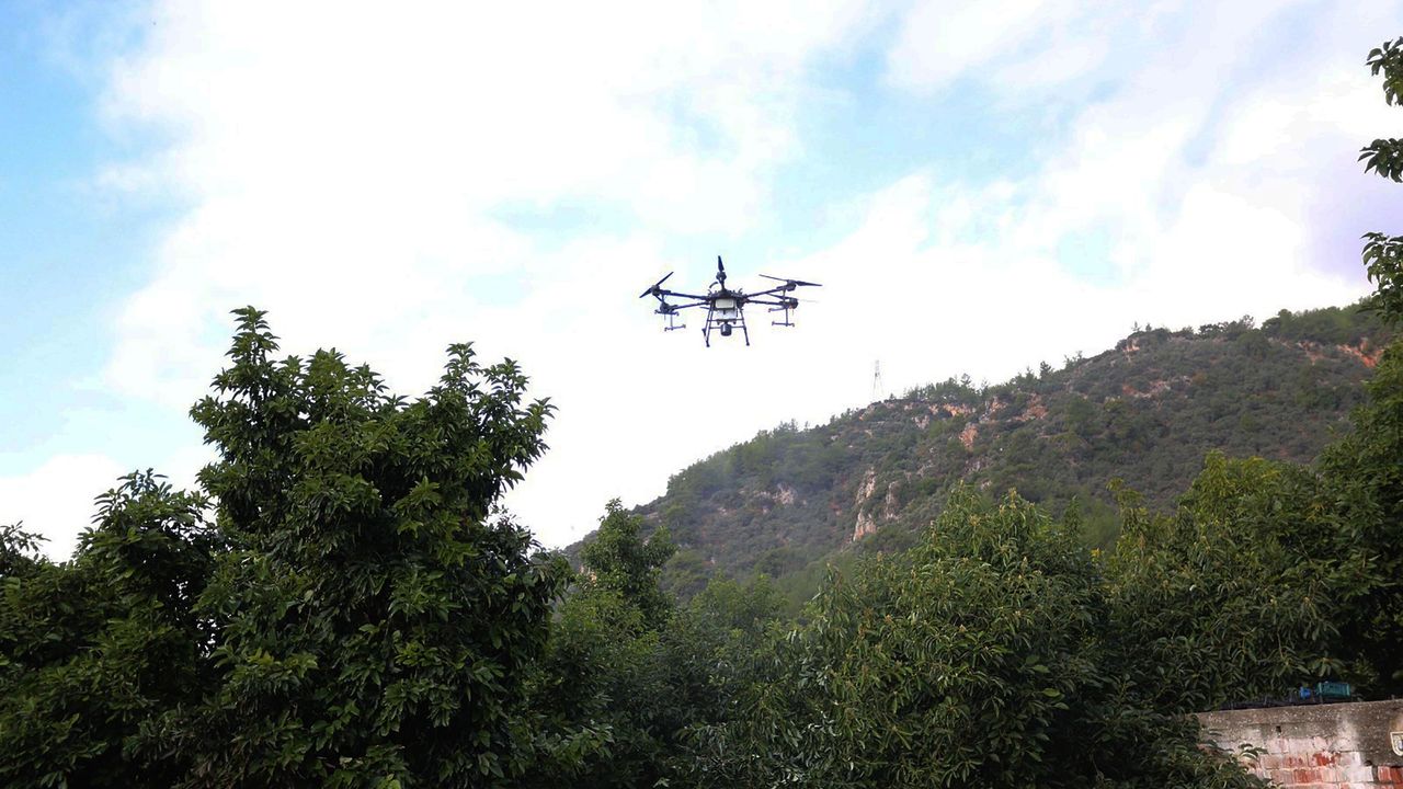Drone ile tarımda yeni dönem! Muğla’da izin şartı