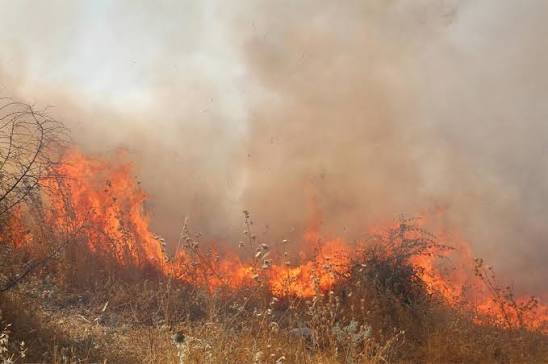 The suspect who caused the fire in Marmaris turned out to be a municipal worker!