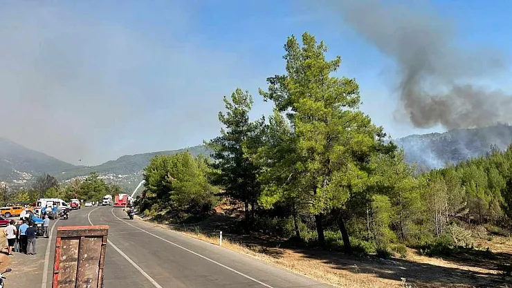 Fire in Yeşilüzümlü brought under control, cooling efforts started